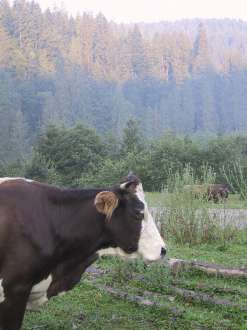 IMG_0631.JPG